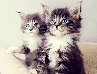 學(xué)習(xí)CAD！每天五個(gè)小技巧！這個(gè)系列趕快收藏！