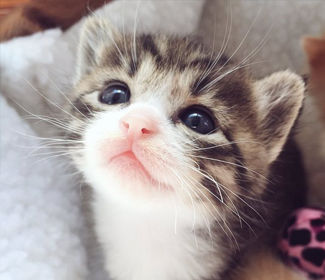 學(xué)習(xí)CAD！每天五個(gè)小技巧！這個(gè)系列趕快收藏！