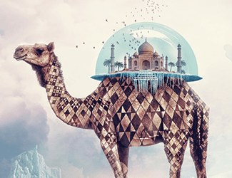 測(cè)繪CAD丨批量標(biāo)注坐標(biāo)，你不需要嗎？